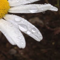 ○○○○○○○○イメージ